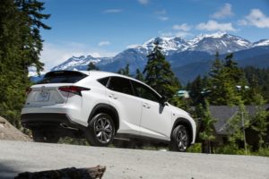 Your thoughts on this design?